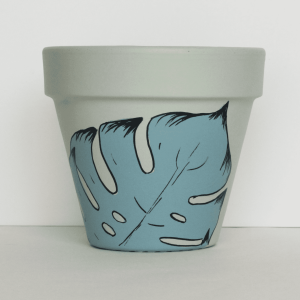 Monstera Plant Pot